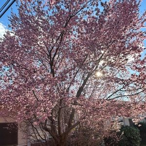 Meet your Posher, Jaden